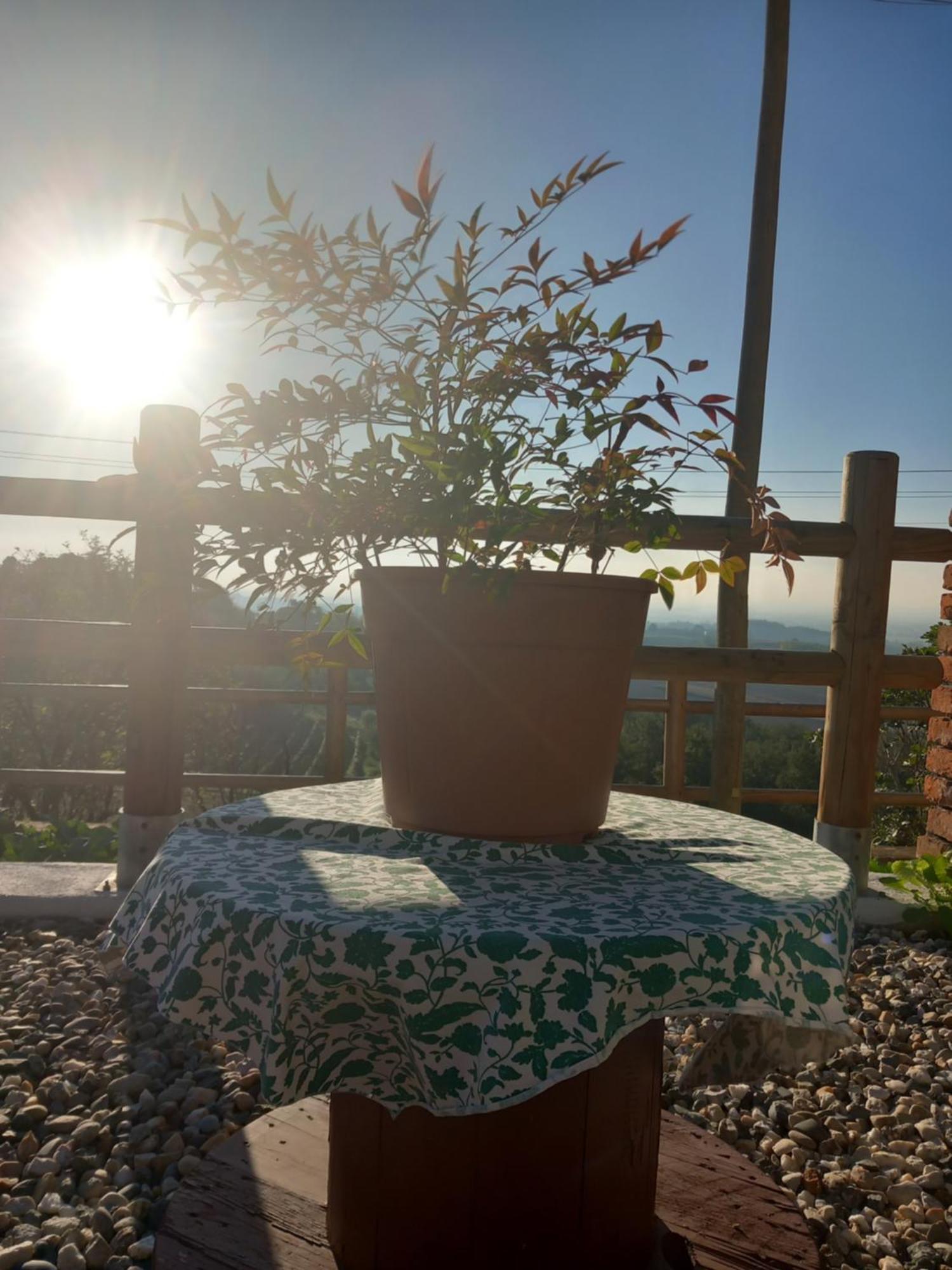مبيت وإفطار Lu (Piedmont) Il Cortile Di Greta المظهر الخارجي الصورة