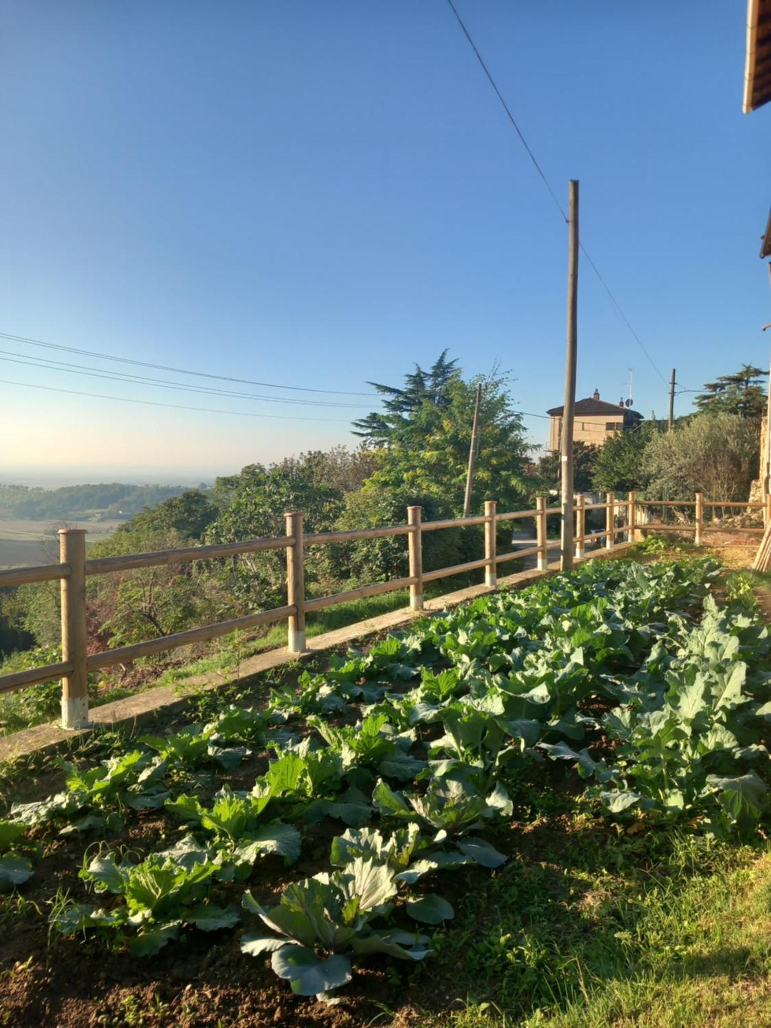 مبيت وإفطار Lu (Piedmont) Il Cortile Di Greta المظهر الخارجي الصورة